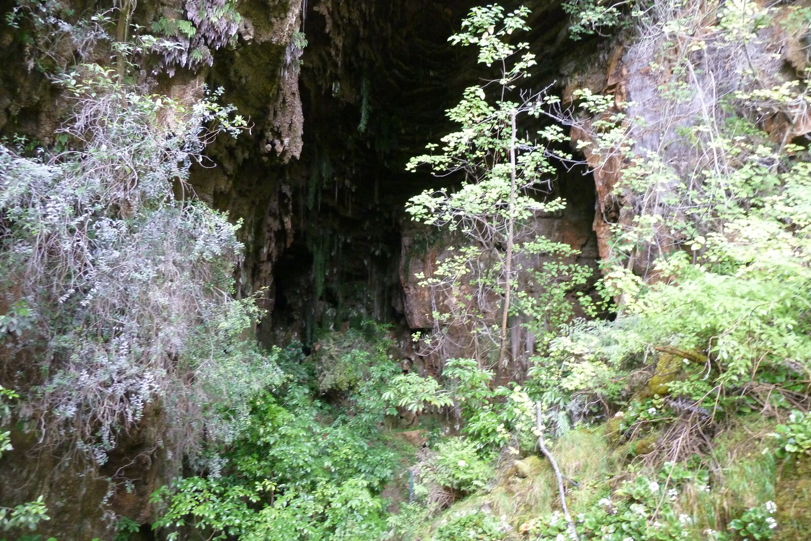 Fox River Caves, Inland Pack Track.