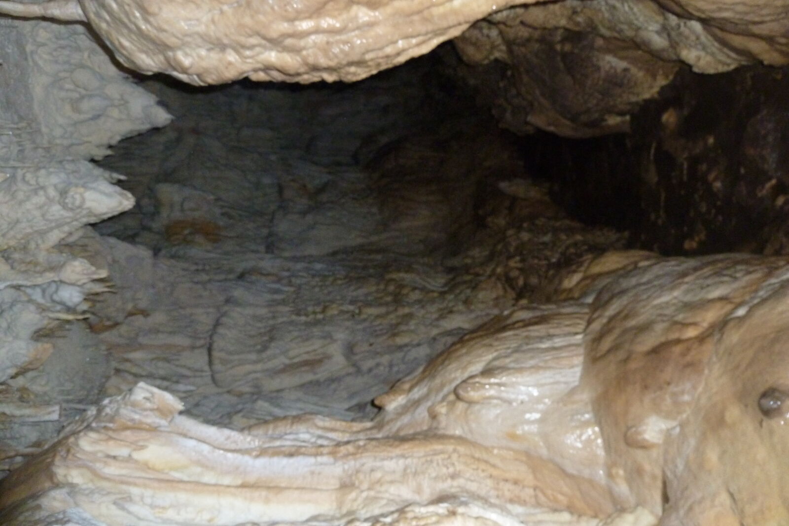 Fox River Caves, Inland Pack Track.