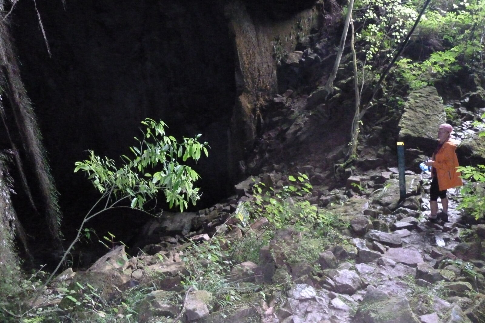 Fox River Caves, Inland Pack Track.