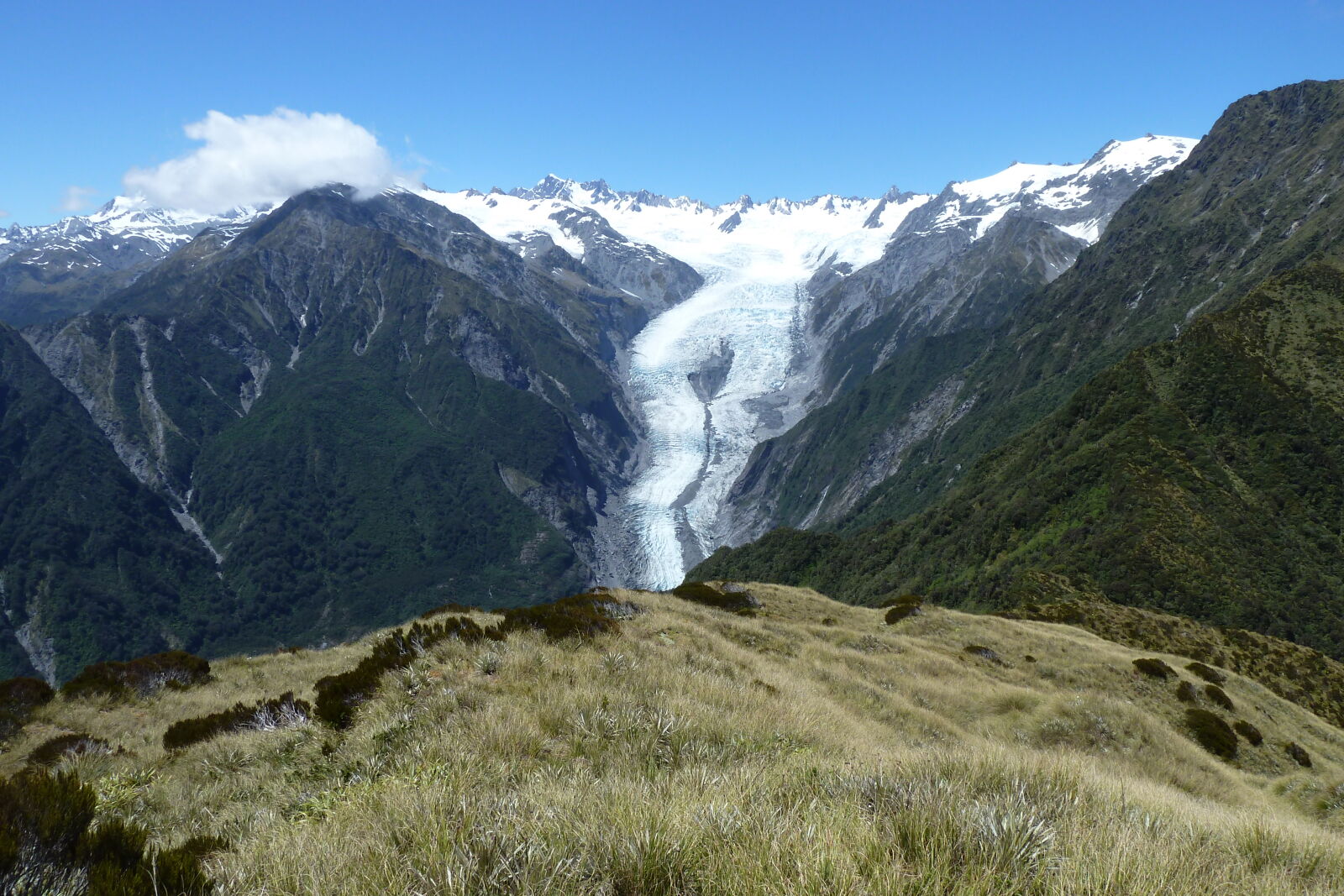 Alex Knob, Franz Josef.