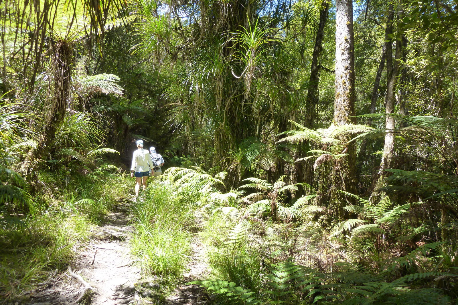 Gillespies Beach.
