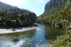 Pororari River, Inland Pack Track.