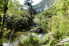 Pororari River, Inland Pack Track.