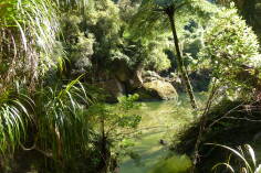 Pororari River, Inland Pack Track.