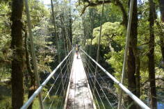 Pororari River, Inland Pack Track.