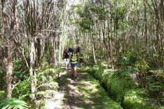 Inland Pack Track.