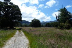 Bullock Creek, Inland Pack Track.