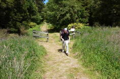 Bullock Creek, Inland Pack Track.