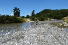 Bullock Creek, Inland Pack Track.