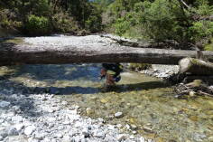 Fossil Creek, Inland Pack Track.
