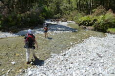 Fossil Creek, Inland Pack Track.