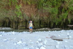 Dilemma Creek, Inland Pack Track.
