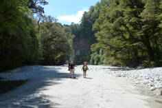 Dilemma Creek, Inland Pack Track.