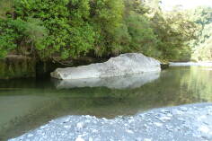 Dilemma Creek, Inland Pack Track.