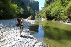 Dilemma Creek, Inland Pack Track.