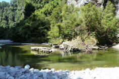 Dilemma Creek, Inland Pack Track.