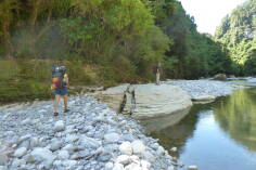 Dilemma Creek, Inland Pack Track.