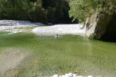 Dilemma Creek / Fox River, Inland Pack Track.