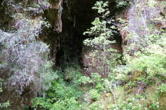 Fox River Caves, Inland Pack Track.