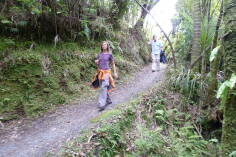 Point Elizabeth Walkway, Greymouth.