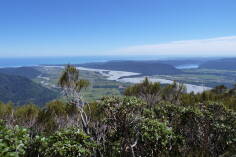 Alex Knob, Franz Josef.