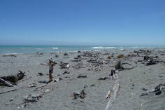 Gillespies Beach.