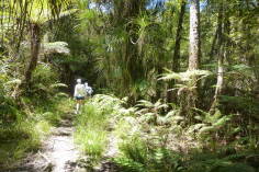 Gillespies Beach.