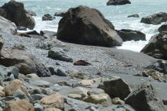 Gillespies Point.
