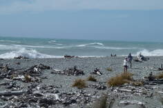 Gillespies Beach.