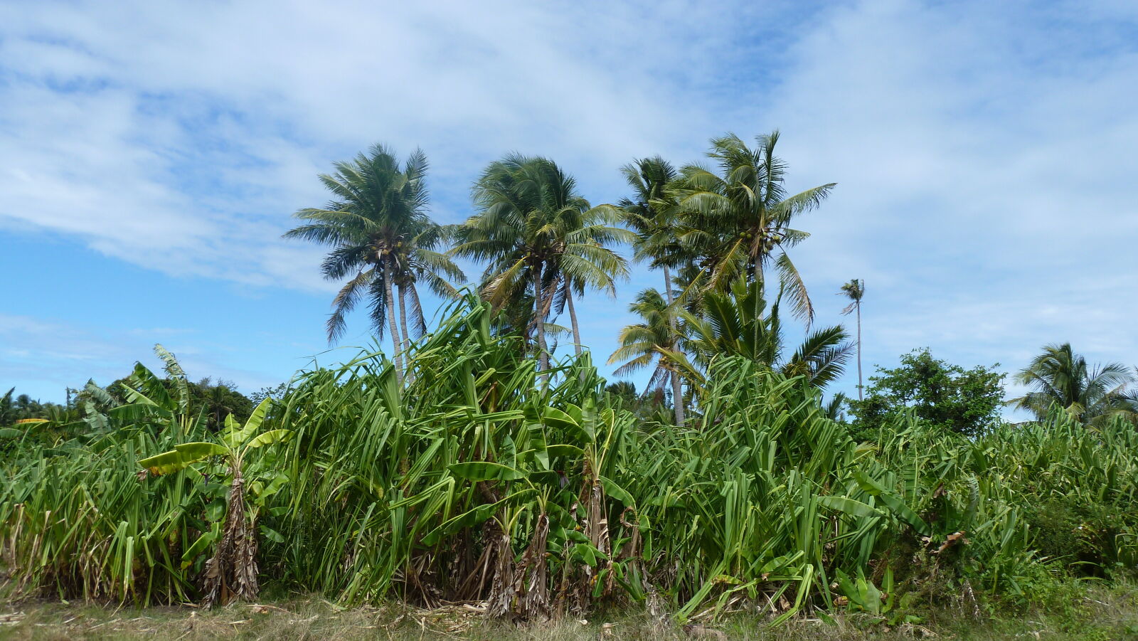 Wanderung in den Hügeln von Nabukeru, Yasawa.