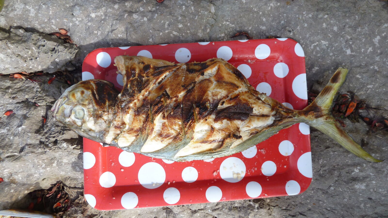 BBQ auf Sawa-I-Lau.