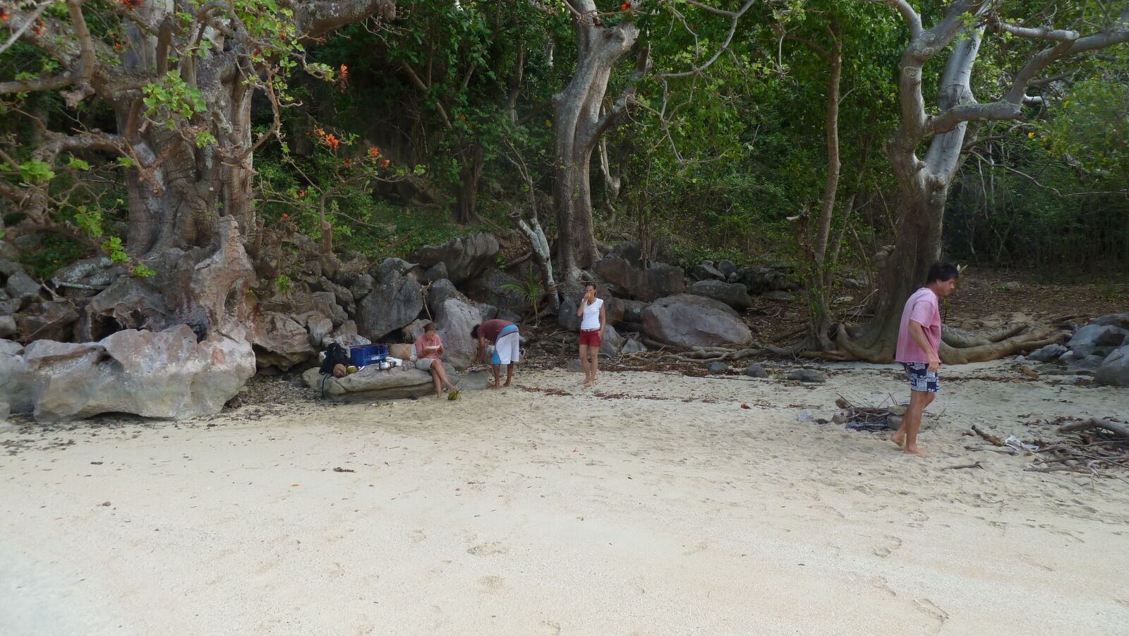 BBQ auf Sawa-I-Lau.