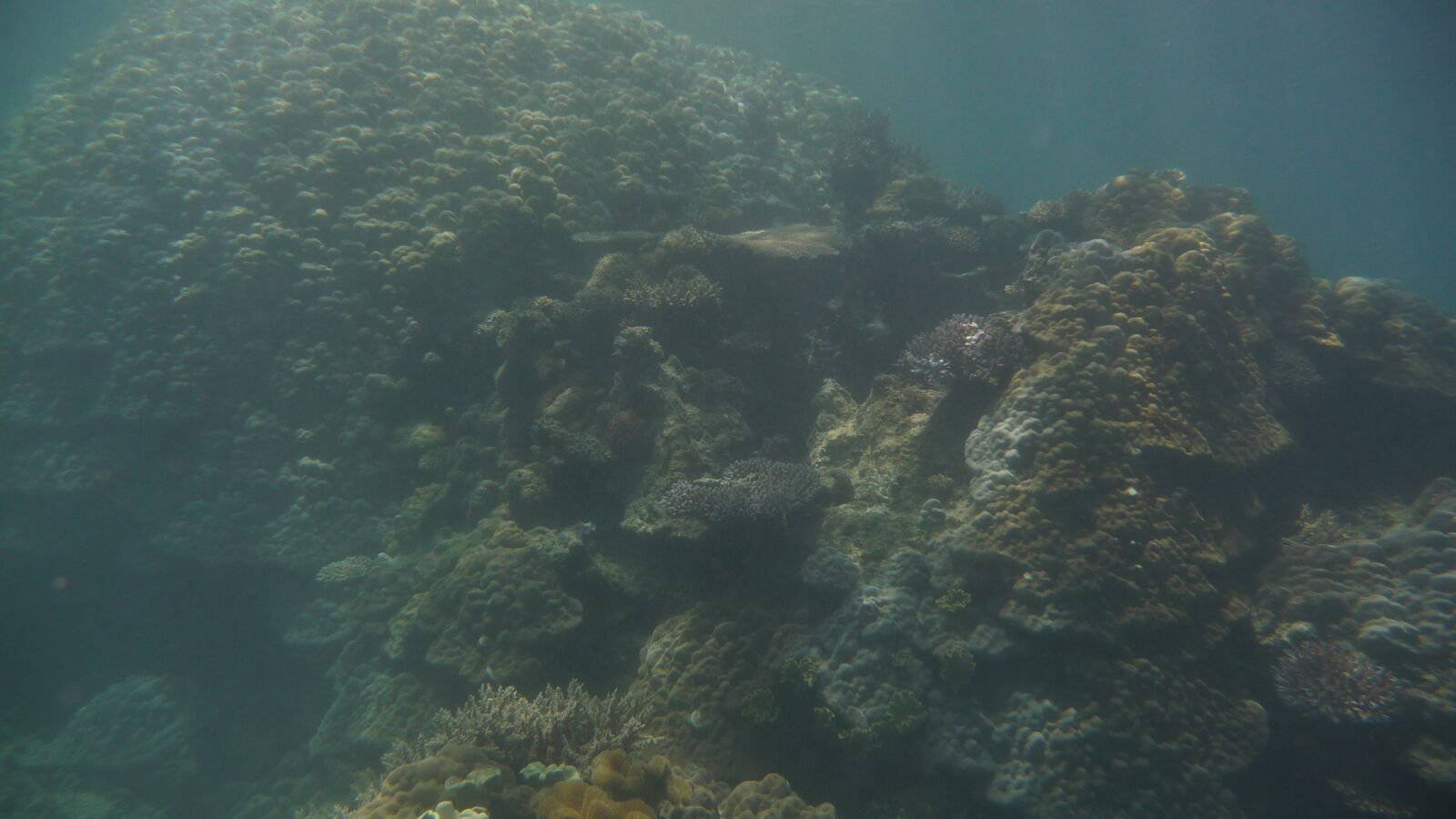 Schnorcheln in Narewa Bay, Naviti.
