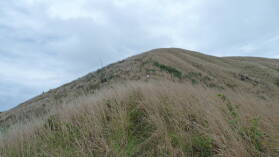 Wanderung in den Hügeln von Nabukeru, Yasawa.