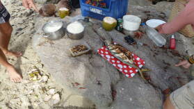 BBQ auf Sawa-I-Lau.