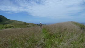 Wanderung in den Hügeln von Yalombi Bay, Waya.