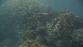 Schnorcheln in Narewa Bay, Naviti.